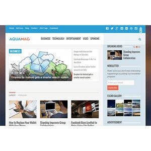 jasa-pembuatan-website-berita-news-jakarta-aquamag-desktop-themejunkie