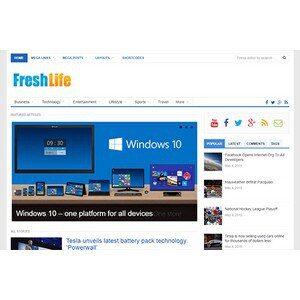 jasa-pembuatan-website-berita-news-jakarta-freshlife-desktop-themejunkie