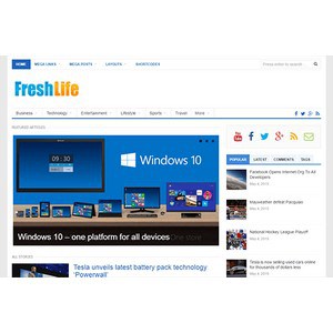 jasa-pembuatan-website-berita-news-jakarta-freshlife-desktop-themejunkie