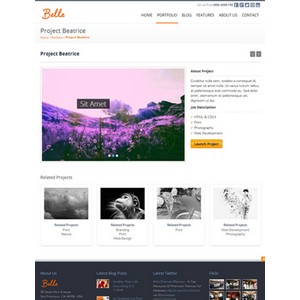jasa-pembuatan-website-blog-personal-pribadi-jakarta-Belle-theme