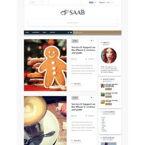 jasa-pembuatan-website-blog-personal-pribadi-jakarta-Saab-wp-theme