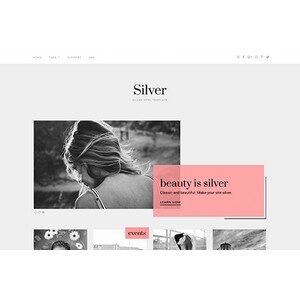 jasa-pembuatan-website-silver-themejunkie