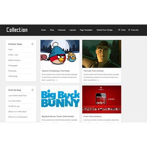 jasa-pembuatan-website-portofolio-jakarta-collection-desktop-themejunkie