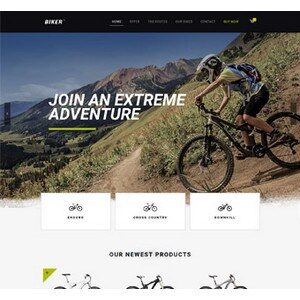 jasa-pembuatan-website-bisnis-perusahaan-di-jakarta-splash_home_biker