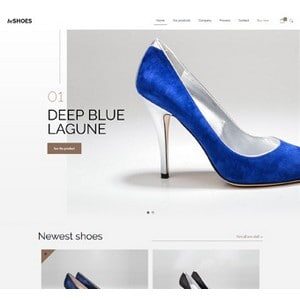 jasa-pembuatan-website-bisnis-perusahaan-di-jakarta-splash_home_shoes